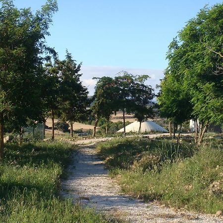 Campo De Reyes Hotel Tafalla Exterior photo